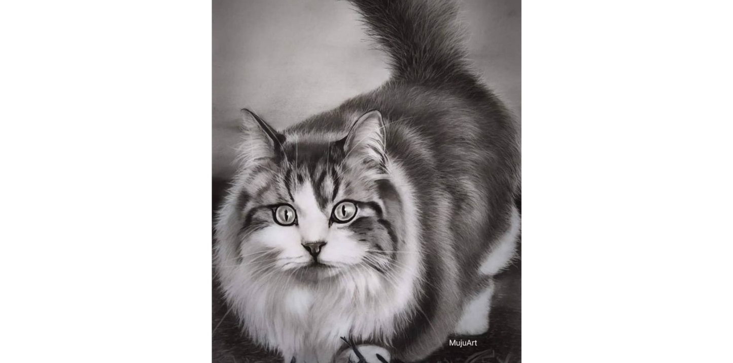 Portraits Personnalisés d’Animaux de Compagnie par Tonderai Mujuru