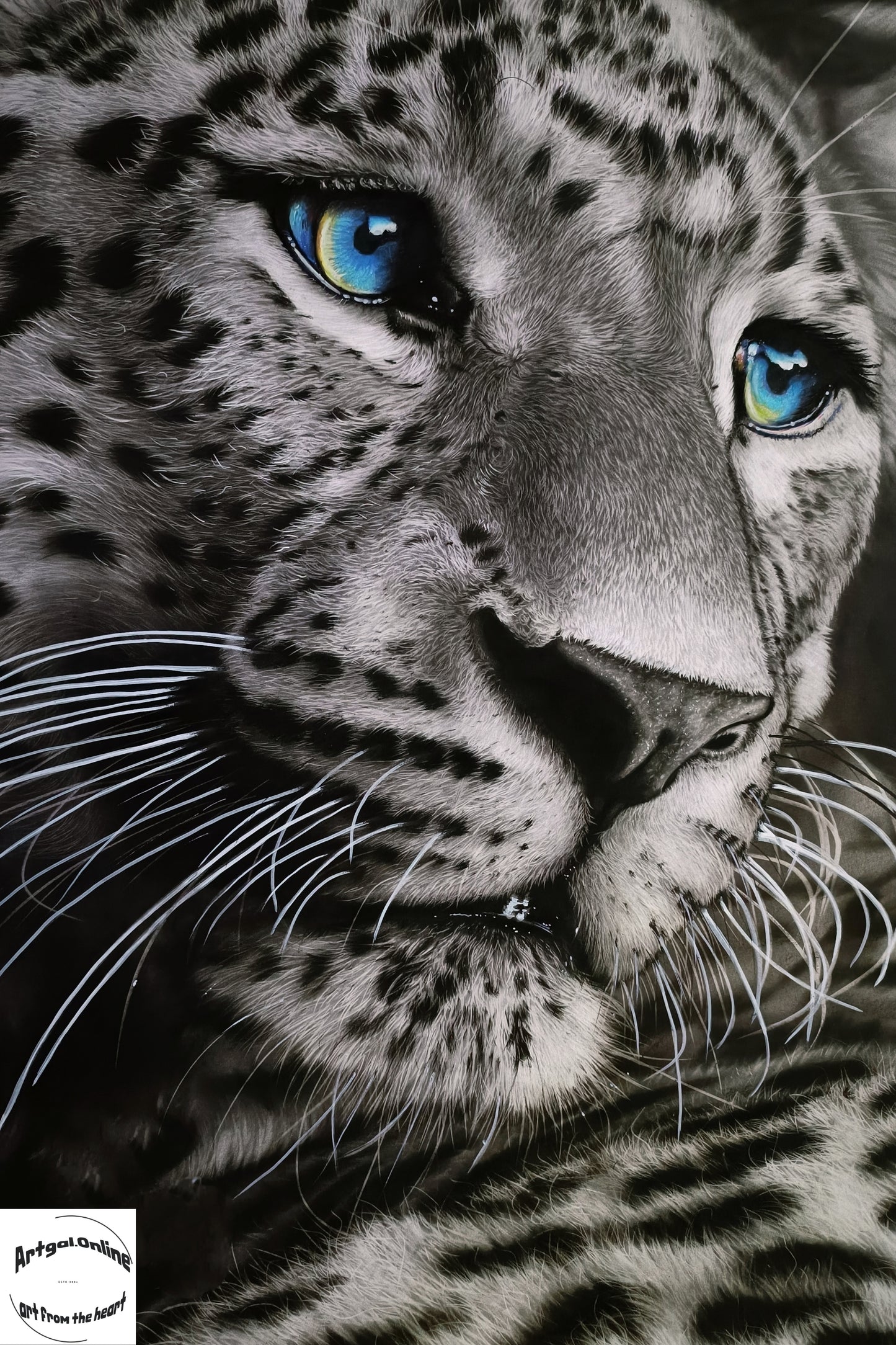 Blue Eyes A4 Print on Canvas