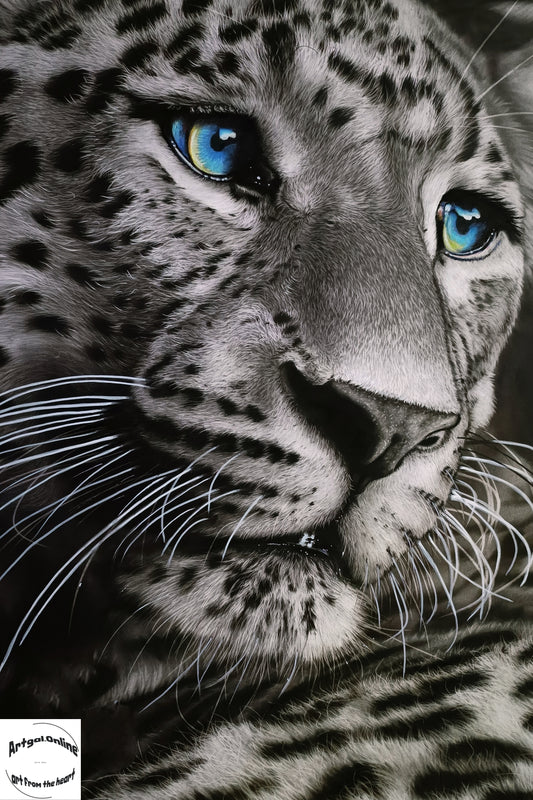 Blue Eyes A2 Print on Canvas