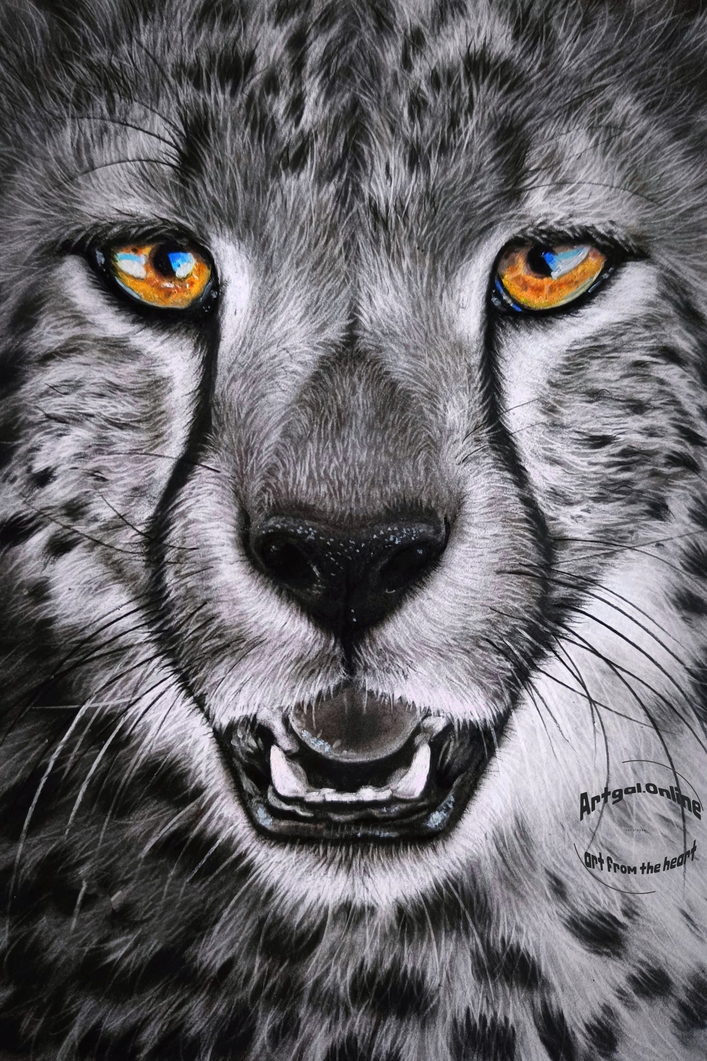 The Cheetah Soul A4 Prints on Canvas