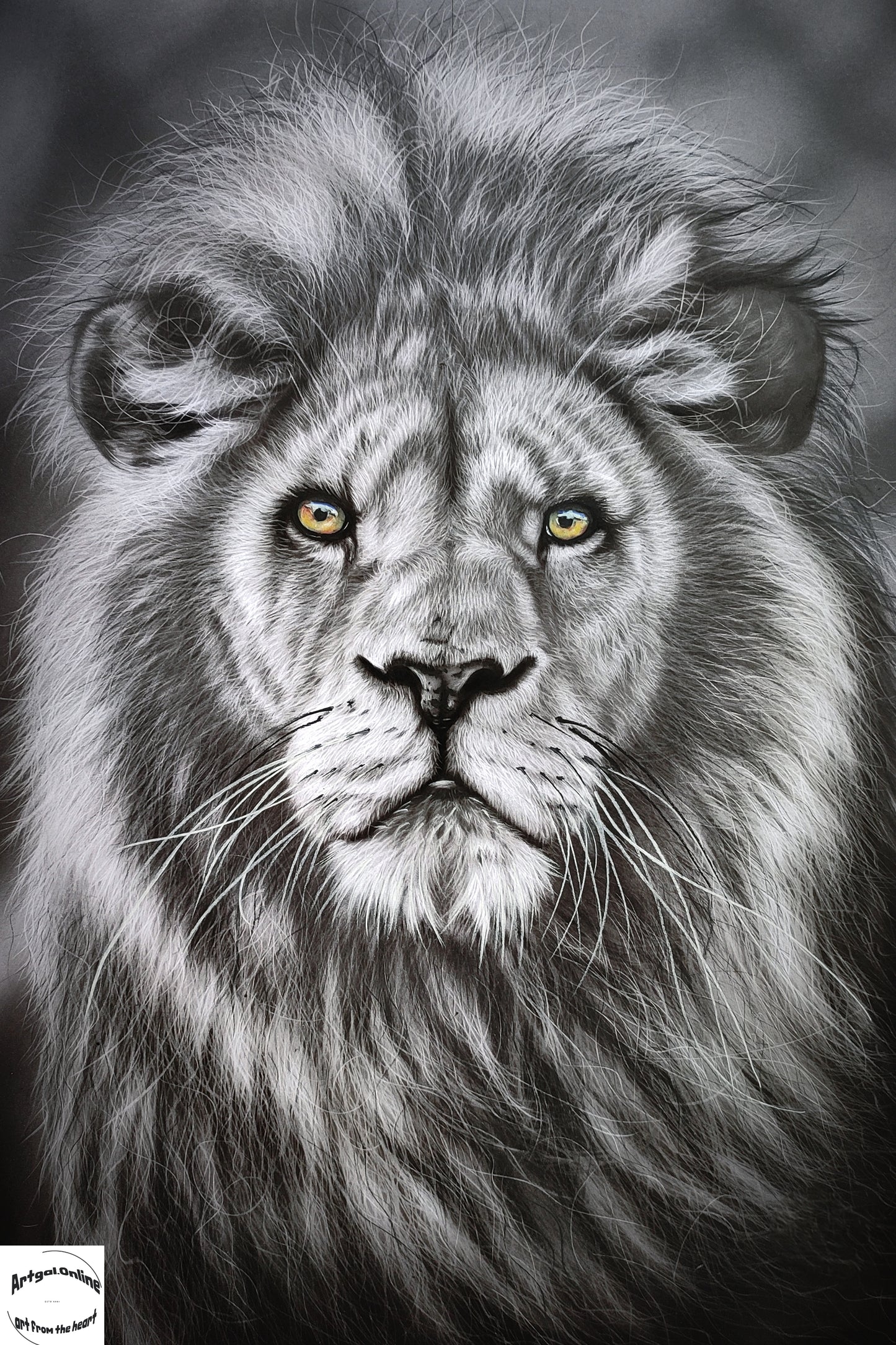 Leo A2 Prints on Canvas